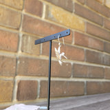 Hummingbird 925 silver earrings